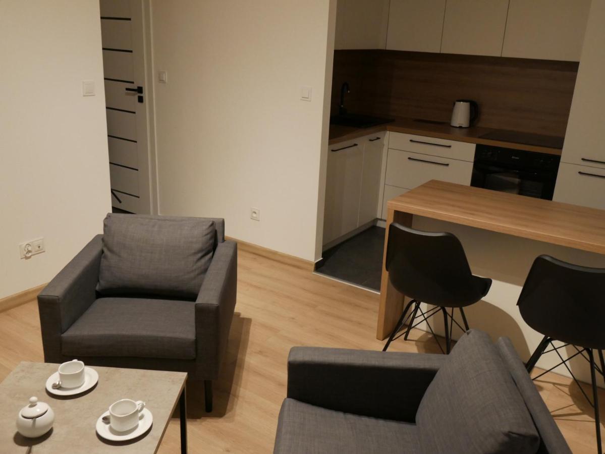 Auschwitz New Flat: Central Apartment with Air Conditioning Exterior photo